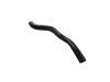 Radiator Hose:2541226100