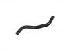 Radiator Hose:254122D000