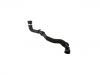 Radiator Hose:1K0 122 051 GN