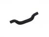 Radiator Hose:LF4J-15-186B